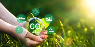 Strategii ”net zero” (zero emisii) pentru sectorul automobilelor